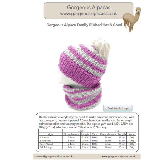 Image of cover of pattern for Family Hat and Cowl