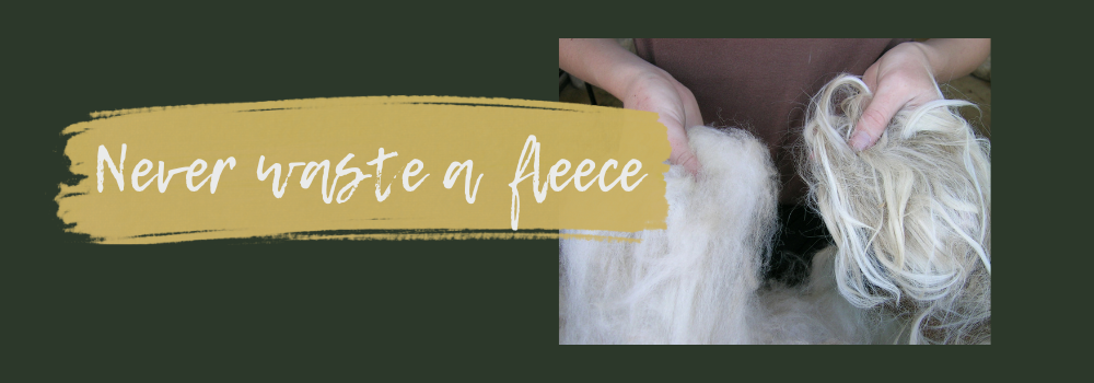 Alpaca Fleece: 8 Surprising & Sustainable Uses