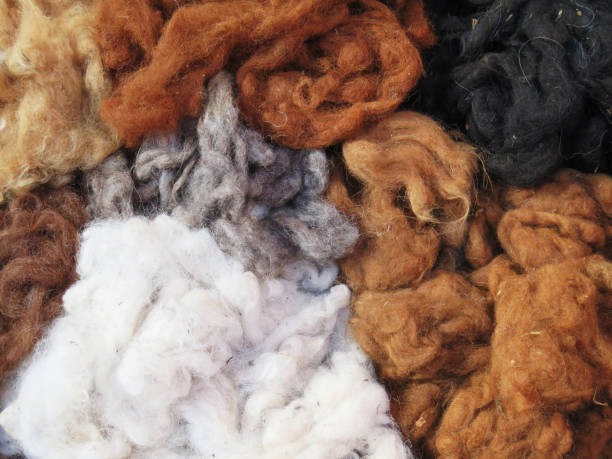 12 Ways to use Alpaca Fleece and Poop