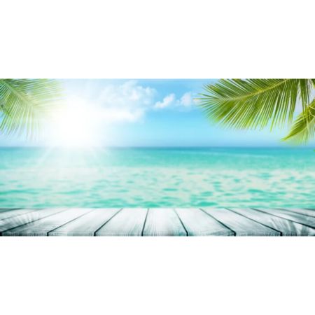 Summer Collection