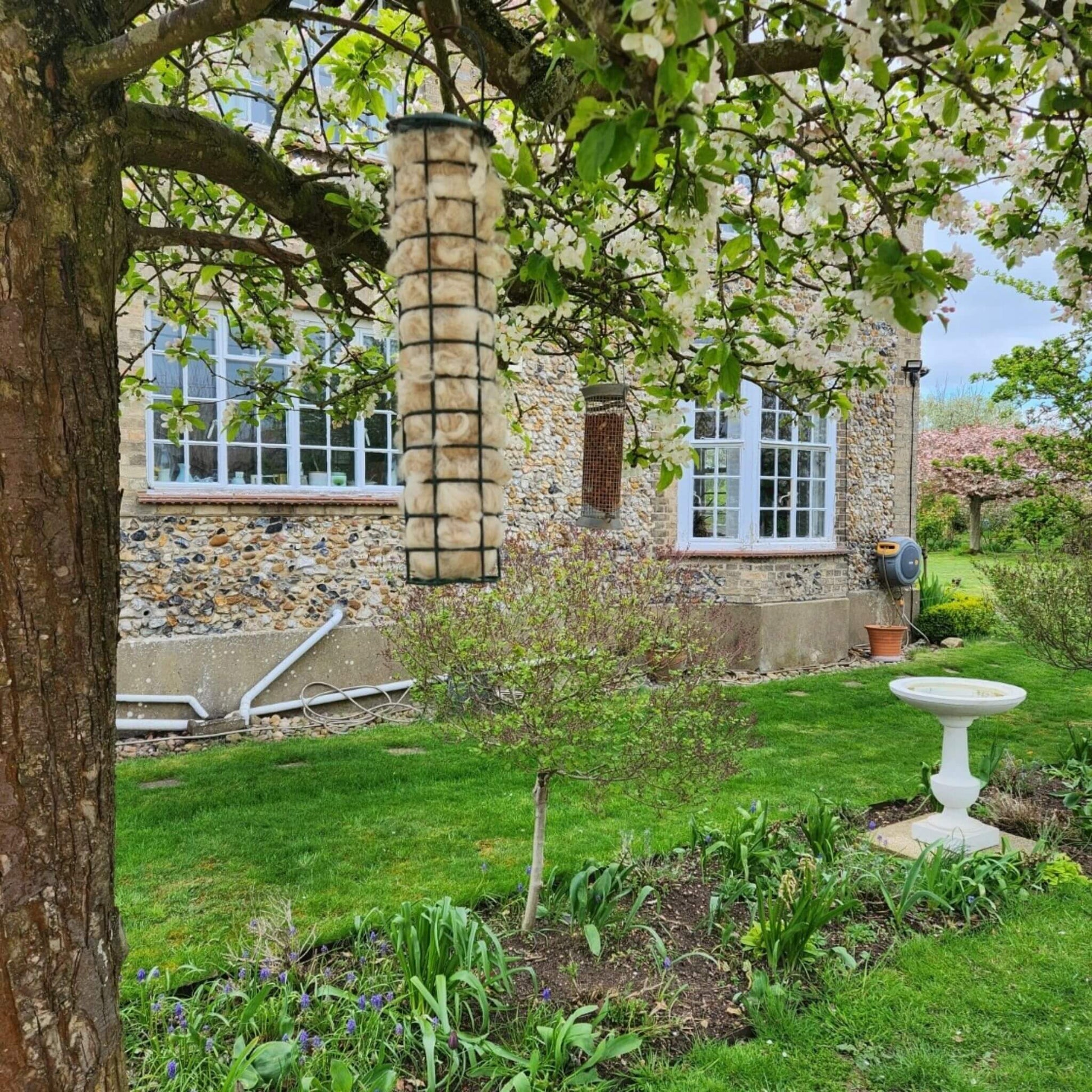 Natural alpaca fleece in metal bird feeder for UK garden birds nesting material