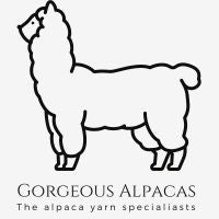 Gorgeous Alpacas