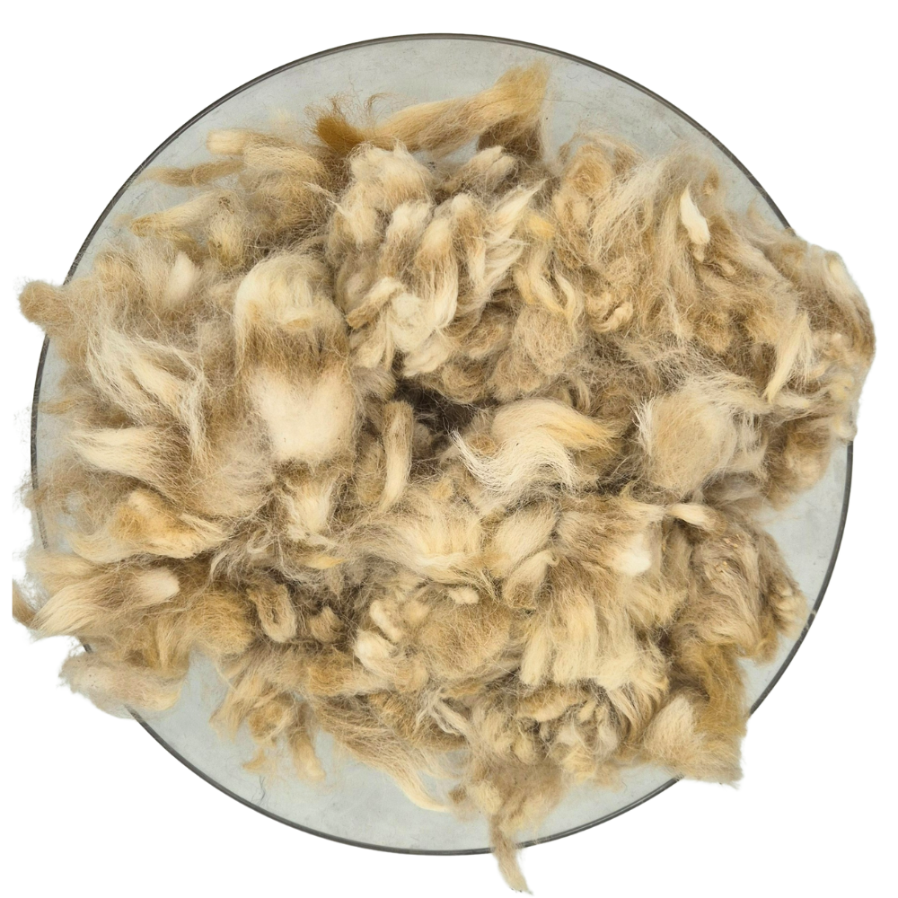 Alpaca Fleece Unwashed White for toy stuffing and cushion stuffing 