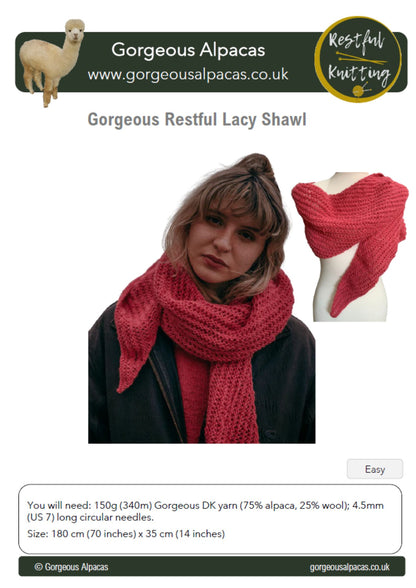 Front cover of pattern for Gorgeous Alpacas Lacy Shawl