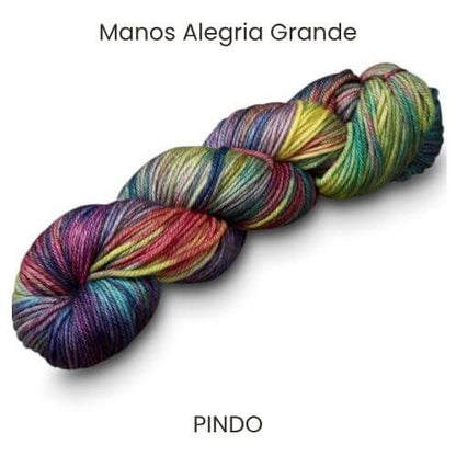 Manos Alegria Grande Yarn skein in the hand-dyed colour Pindo