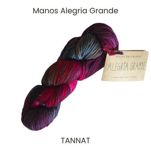 Manos Alegria Grande Yarn skein in the hand-dyed colour Tannat