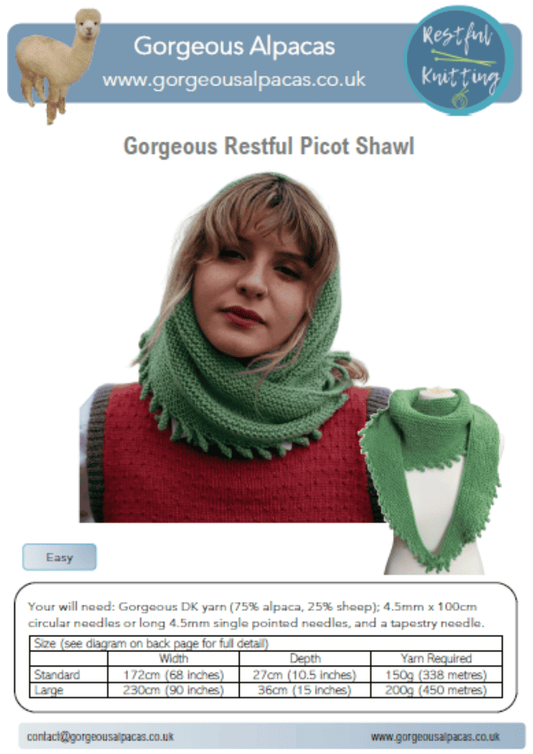 Pattern - Picot Shawl