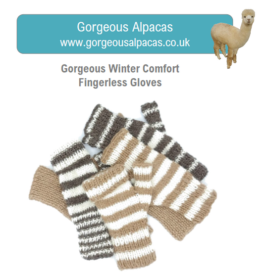 Pattern - Fingerless Gloves